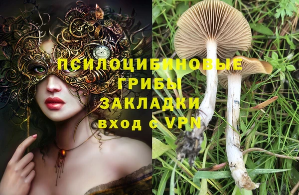 бошки Абаза