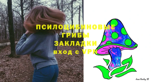 бошки Абаза