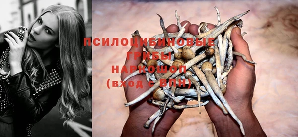 бошки Абаза